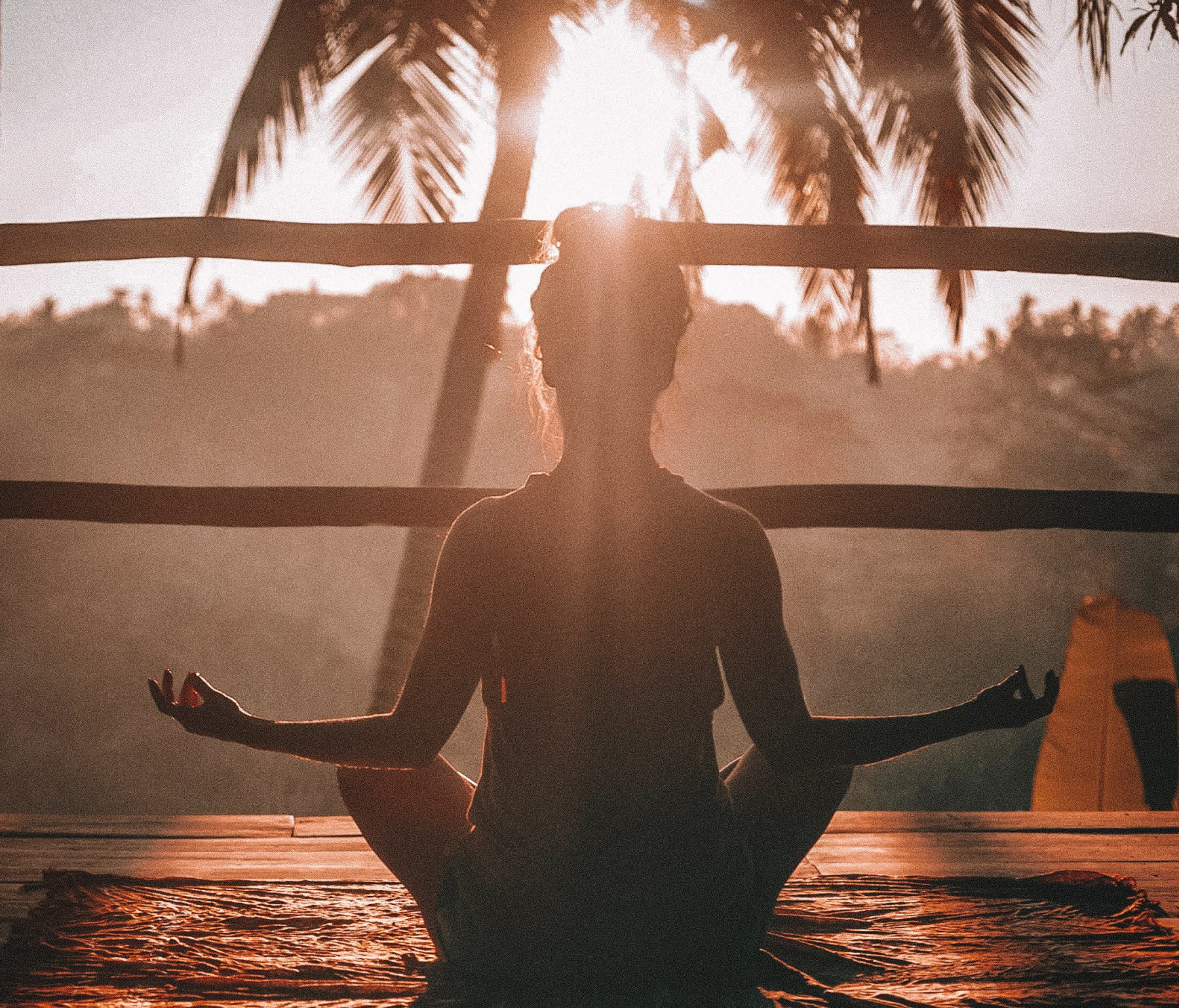 Silhouette of person sitting down meditating in front of a tree and sunset